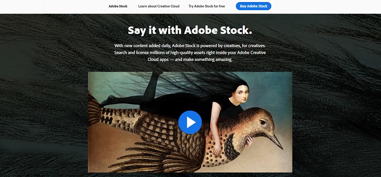 Adobe Stock