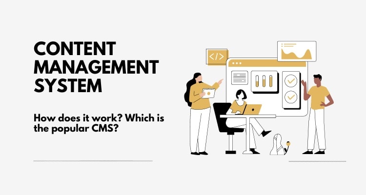 Content Management System (CMS) Explained