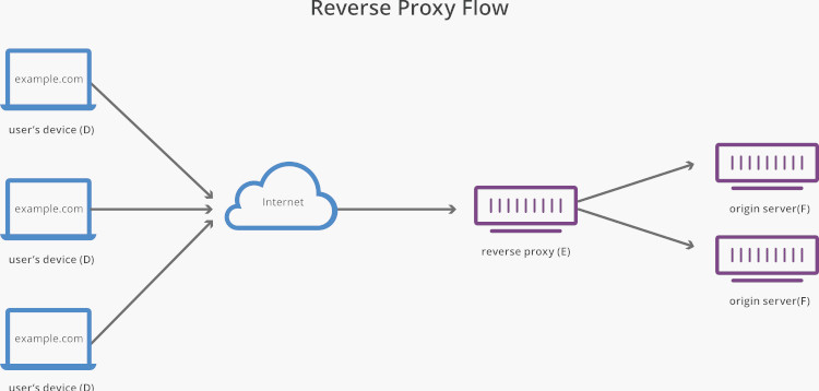 Unlike forward proxies, reverse proxy servers manage server-side online traffic.