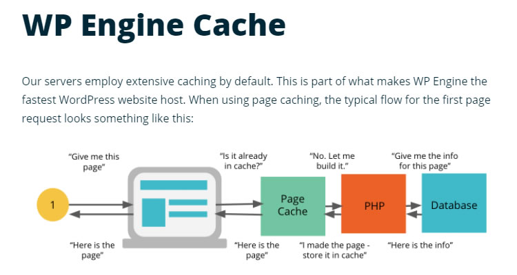 WP Engine Cache